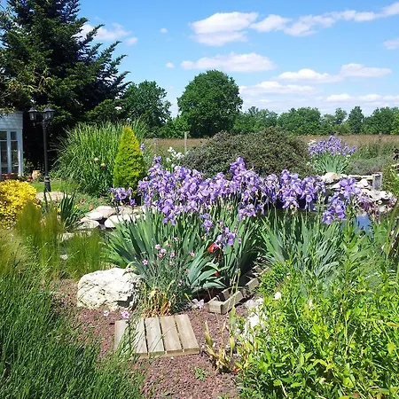 Le Clos De Saint Bed & Breakfast Montauban