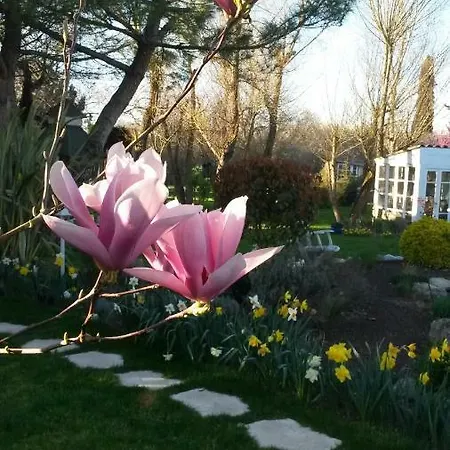 Le Clos De Saint Montauban